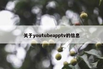 关于youtubeapptv的信息