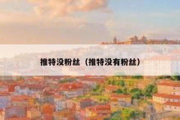推特没粉丝（推特没有粉丝）
