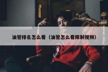 油管排名怎么看（油管怎么看限制视频）