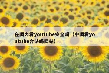 在国内看youtube安全吗（中国看youtube合法吗网站）