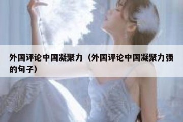 外国评论中国凝聚力（外国评论中国凝聚力强的句子）
