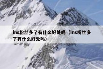 ins粉丝多了有什么好处吗（ins粉丝多了有什么好处吗）