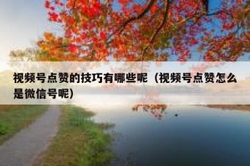 视频号点赞的技巧有哪些呢（视频号点赞怎么是微信号呢）