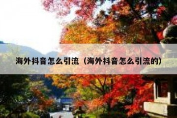 海外抖音怎么引流（海外抖音怎么引流的）