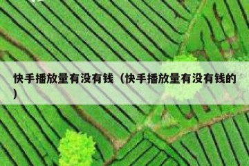快手播放量有没有钱（快手播放量有没有钱的）