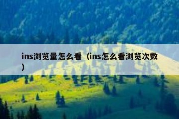 ins浏览量怎么看（ins怎么看浏览次数）