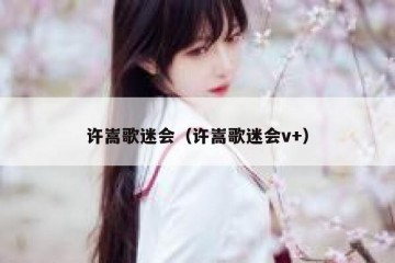 许嵩歌迷会（许嵩歌迷会v+）