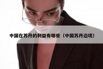 中国在苏丹的利益有哪些（中国苏丹边境）