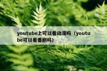 youtube上可以看动漫吗（youtube可以看番剧吗）