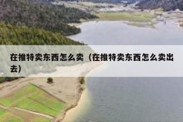 在推特卖东西怎么卖（在推特卖东西怎么卖出去）