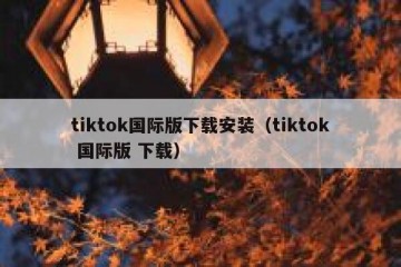 tiktok国际版下载安装（tiktok 国际版 下载）