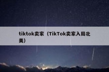 tiktok卖家（TikTok卖家入局北美）