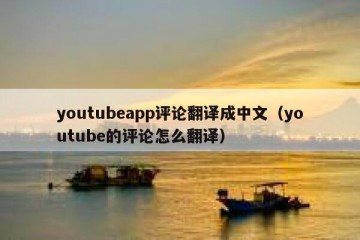 youtubeapp评论翻译成中文（youtube的评论怎么翻译）