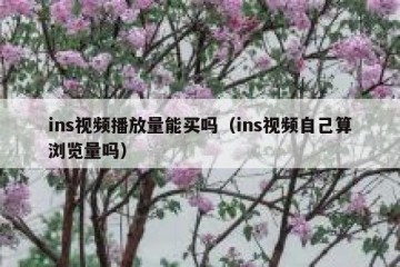 ins视频播放量能买吗（ins视频自己算浏览量吗）