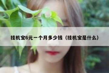 挂机宝6元一个月多少钱（挂机宝是什么）