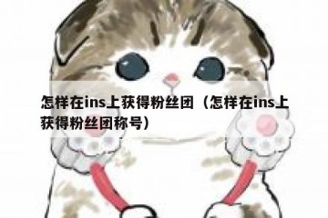 怎样在ins上获得粉丝团（怎样在ins上获得粉丝团称号）