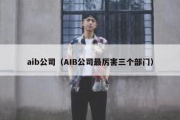 aib公司（AIB公司最厉害三个部门）