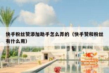 快手粉丝赞添加助手怎么弄的（快手赞和粉丝有什么用）