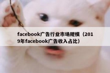 facebook广告行业市场规模（2019年facebook广告收入占比）
