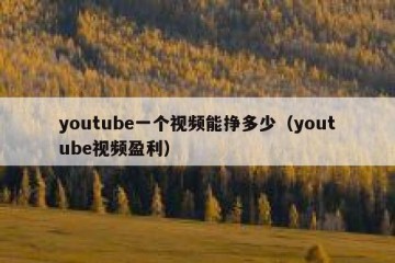 youtube一个视频能挣多少（youtube视频盈利）