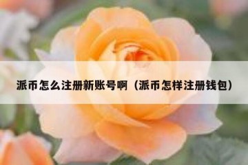 派币怎么注册新账号啊（派币怎样注册钱包）