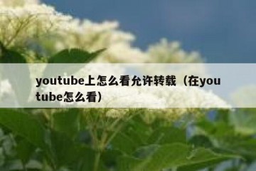 youtube上怎么看允许转载（在youtube怎么看）