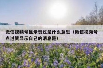 微信视频号显示赞过是什么意思（微信视频号点过赞显示自己的消息是）