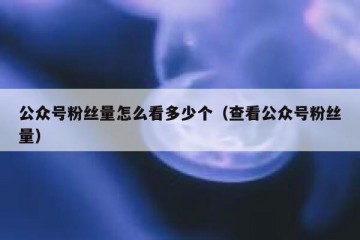 公众号粉丝量怎么看多少个（查看公众号粉丝量）