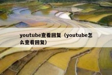 youtube查看回复（youtube怎么查看回复）