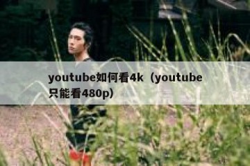 youtube如何看4k（youtube只能看480p）