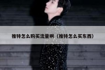 推特怎么购买流量啊（推特怎么买东西）