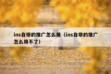 ins自带的推广怎么用（ins自带的推广怎么用不了）