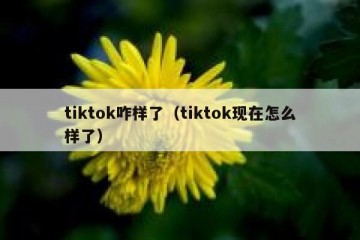 tiktok咋样了（tiktok现在怎么样了）