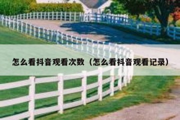 怎么看抖音观看次数（怎么看抖音观看记录）