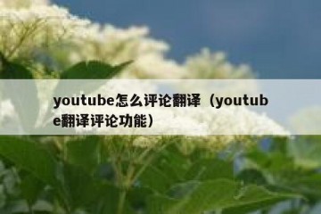 youtube怎么评论翻译（youtube翻译评论功能）