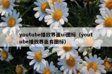 youtube播放界面ui图标（youtube播放界面有图标）