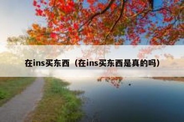 在ins买东西（在ins买东西是真的吗）