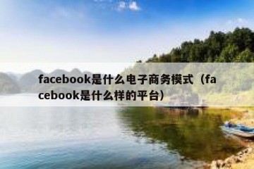 facebook是什么电子商务模式（facebook是什么样的平台）