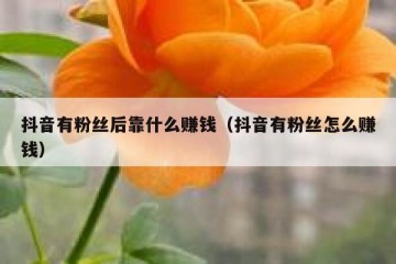 抖音有粉丝后靠什么赚钱（抖音有粉丝怎么赚钱）