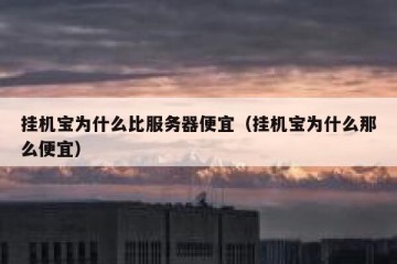 挂机宝为什么比服务器便宜（挂机宝为什么那么便宜）