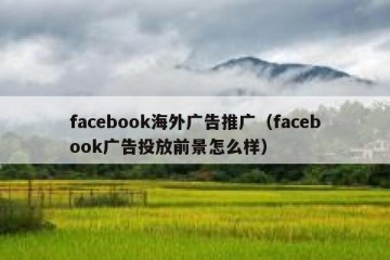 facebook海外广告推广（facebook广告投放前景怎么样）