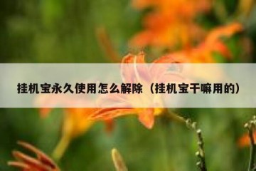 挂机宝永久使用怎么解除（挂机宝干嘛用的）