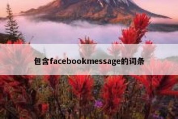 包含facebookmessage的词条