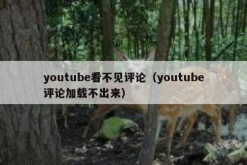 youtube看不见评论（youtube评论加载不出来）