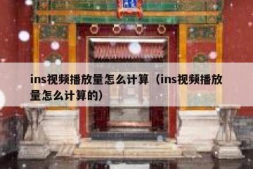 ins视频播放量怎么计算（ins视频播放量怎么计算的）