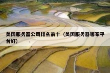 美国服务器公司排名前十（美国服务器哪家平台好）
