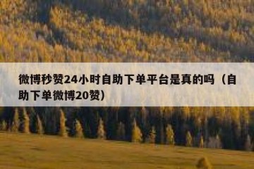 微博秒赞24小时自助下单平台是真的吗（自助下单微博20赞）