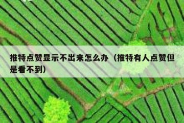 推特点赞显示不出来怎么办（推特有人点赞但是看不到）