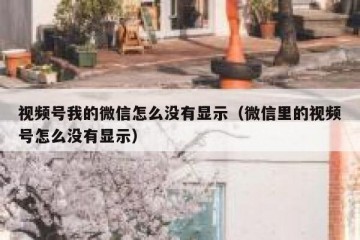 视频号我的微信怎么没有显示（微信里的视频号怎么没有显示）