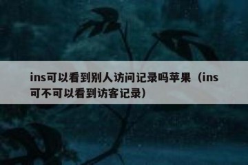 ins可以看到别人访问记录吗苹果（ins可不可以看到访客记录）